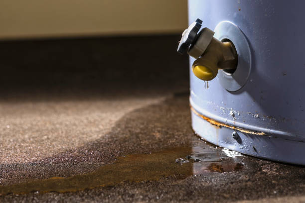 Best Water damage cleanup near me  in Three Lakes, FL