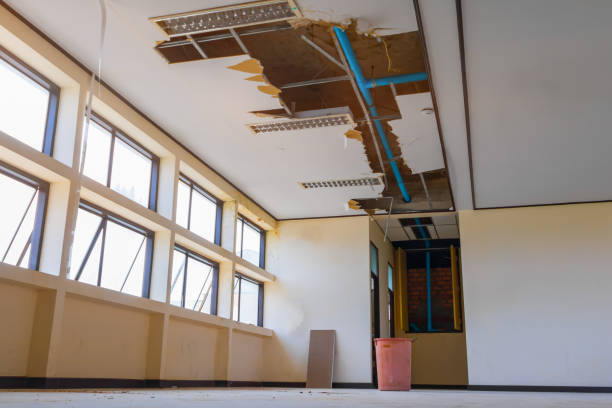 Best Flood restoration services  in Three Lakes, FL