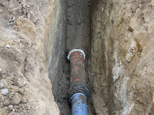 Best Flood damage cleanup  in Three Lakes, FL