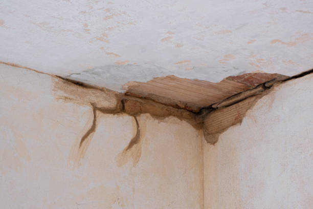 Best Flooded house restoration  in Three Lakes, FL