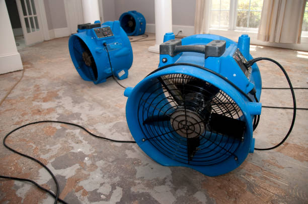 Best Mold removal after water damage  in Three Lakes, FL