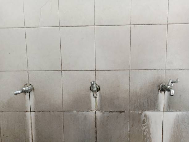 Best 24-hour water damage restoration  in Three Lakes, FL