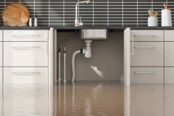 Best 24-hour water damage restoration  in Three Lakes, FL