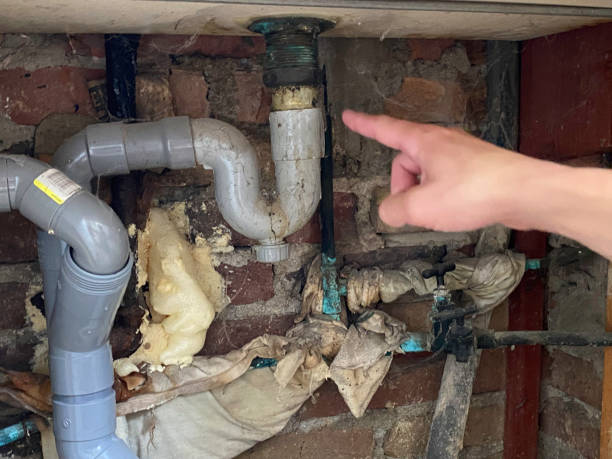 Best Professional water damage repair  in Three Lakes, FL