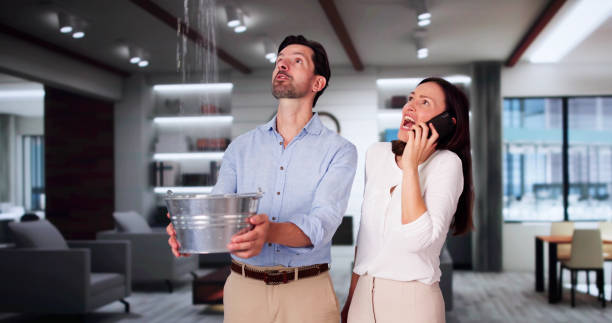 Best Water damage mitigation services  in Three Lakes, FL